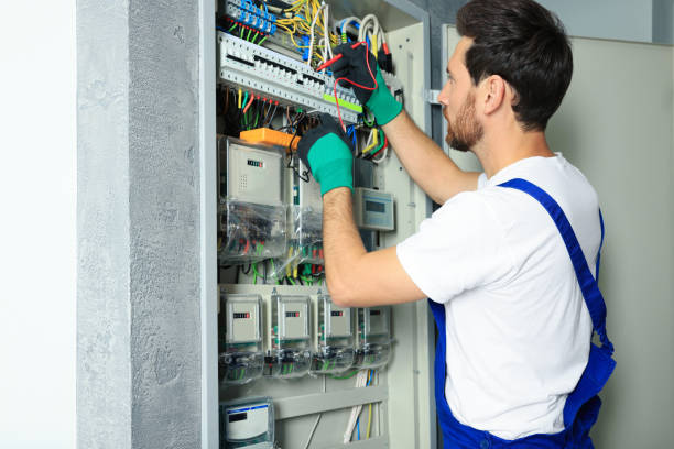Best Electric Panel Repair  in Pella, IA